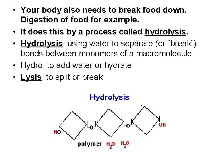 • Your body also needs to break food down. Digestion of food for • Your body also needs to break food down. Digestion of food for