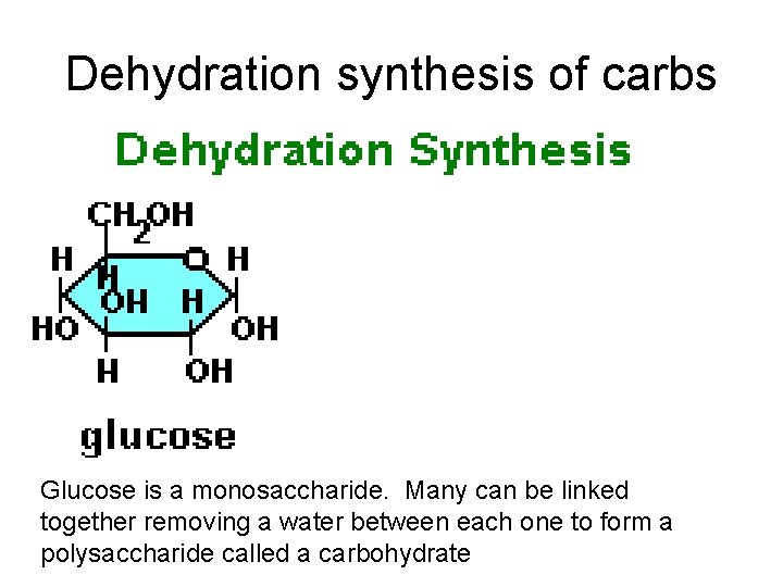 Dehydration synthesis of carbs Glucose is a monosaccharide. Many can be linked together removing Dehydration synthesis of carbs Glucose is a monosaccharide. Many can be linked together removing