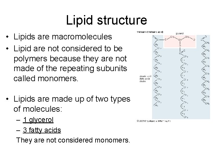 Lipid structure • Lipids are macromolecules • Lipid are not considered to be polymers Lipid structure • Lipids are macromolecules • Lipid are not considered to be polymers