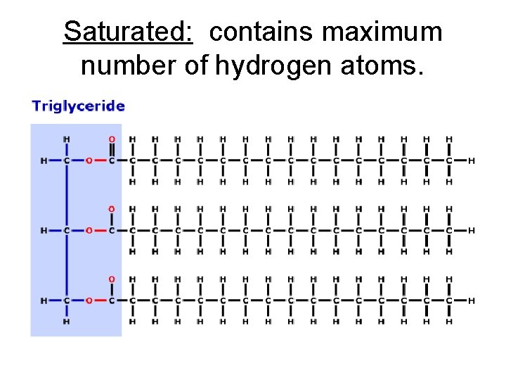 Saturated: contains maximum number of hydrogen atoms. Saturated: contains maximum number of hydrogen atoms.