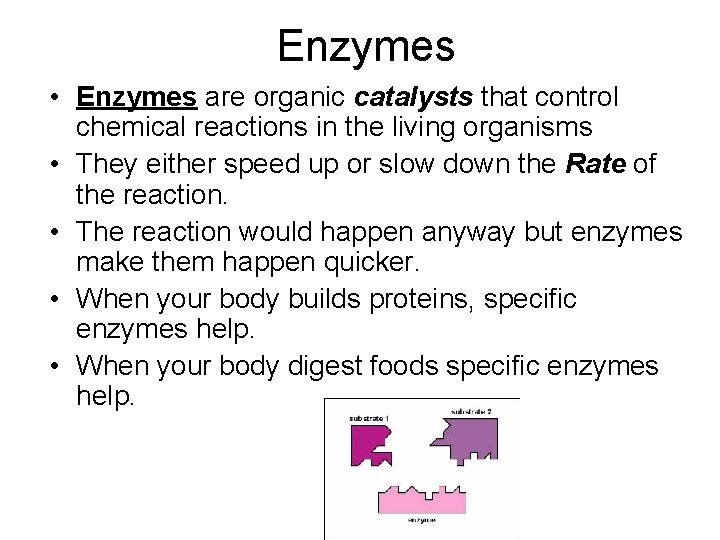 Enzymes • Enzymes are organic catalysts that control chemical reactions in the living organisms Enzymes • Enzymes are organic catalysts that control chemical reactions in the living organisms
