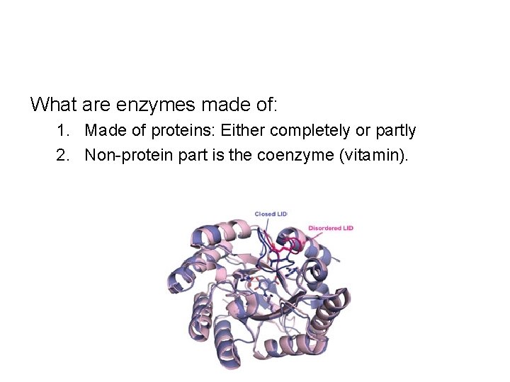 What are enzymes made of: 1. Made of proteins: Either completely or partly 2. What are enzymes made of: 1. Made of proteins: Either completely or partly 2.