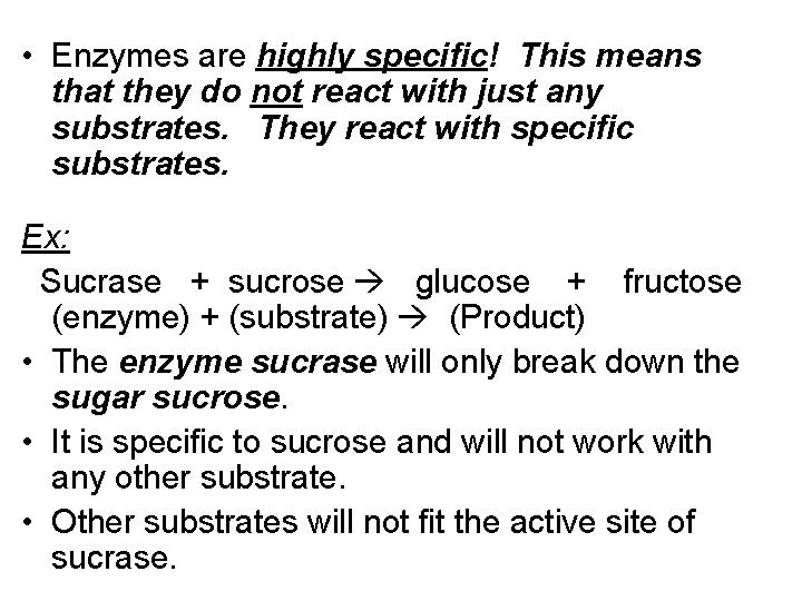• Enzymes are highly specific! This means that they do not react with • Enzymes are highly specific! This means that they do not react with