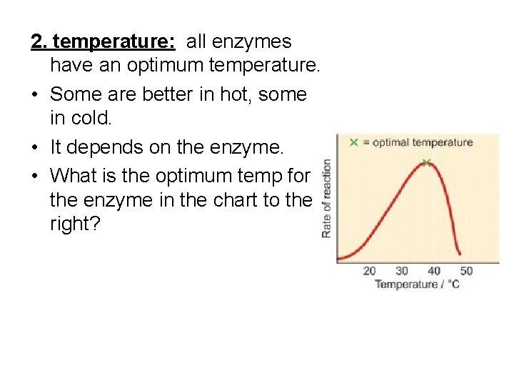 2. temperature: all enzymes have an optimum temperature. • Some are better in hot, 2. temperature: all enzymes have an optimum temperature. • Some are better in hot,