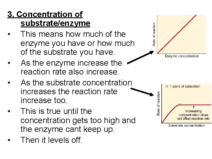 3. Concentration of substrate/enzyme • This means how much of the enzyme you have 3. Concentration of substrate/enzyme • This means how much of the enzyme you have