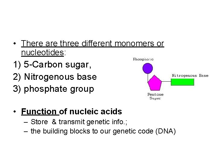 • There are three different monomers or nucleotides: 1) 5 -Carbon sugar, 2) • There are three different monomers or nucleotides: 1) 5 -Carbon sugar, 2)