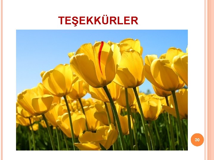 TEŞEKKÜRLER 30 