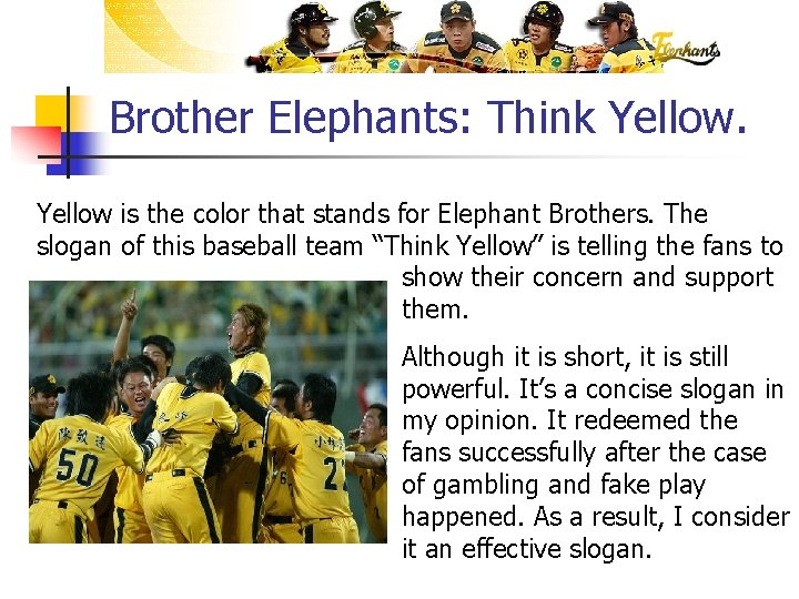 Brother Elephants: Think Yellow is the color that stands for Elephant Brothers. The slogan
