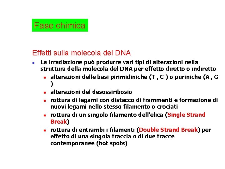 Fase chimica Effetti sulla molecola del DNA n La irradiazione può produrre vari tipi
