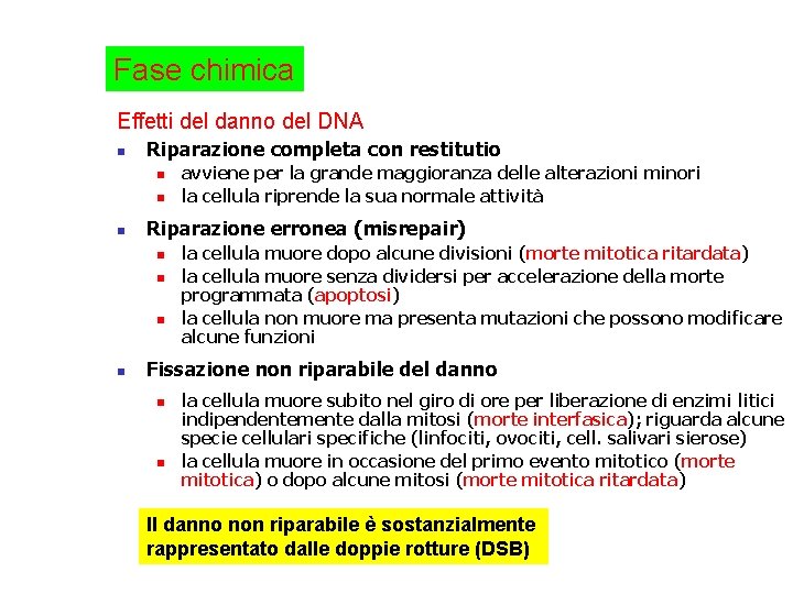 Fase chimica Effetti del danno del DNA n Riparazione completa con restitutio n n