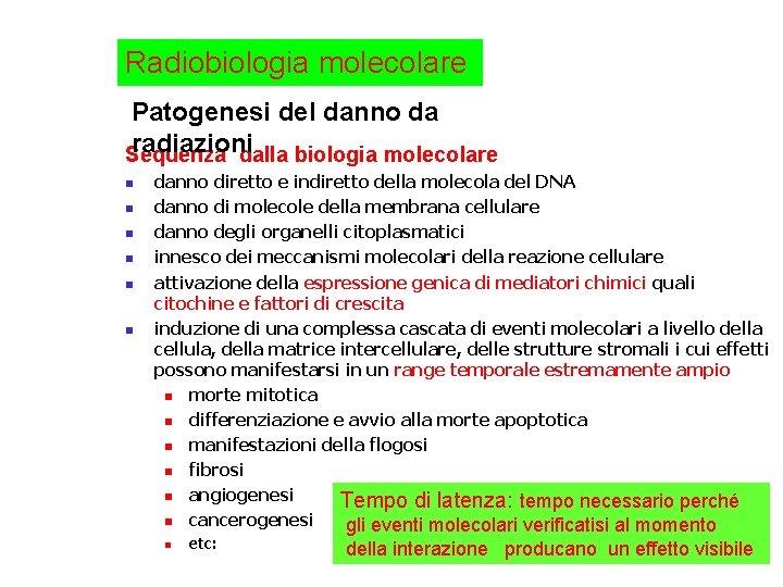 Radiobiologia molecolare Patogenesi del danno da radiazioni Sequenza dalla biologia molecolare n n n