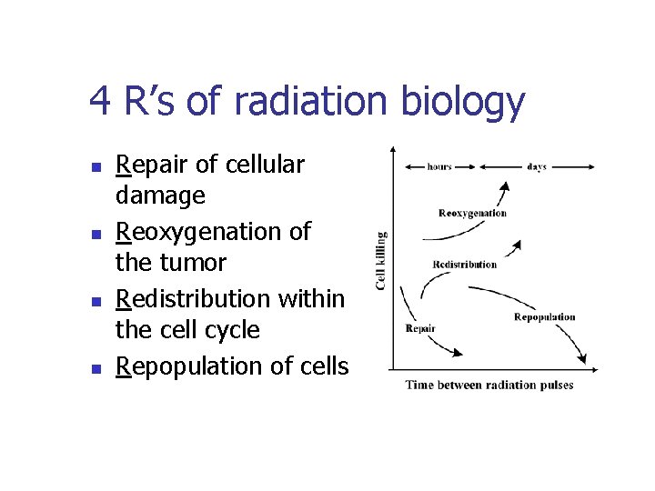 4 R’s of radiation biology n n Repair of cellular damage Reoxygenation of the
