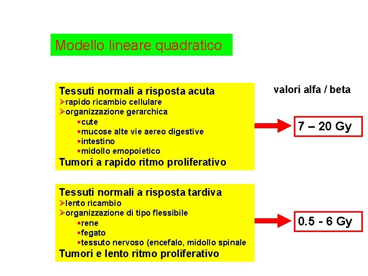 Modello lineare quadratico Tessuti normali a risposta acuta Ørapido ricambio cellulare Øorganizzazione gerarchica §cute