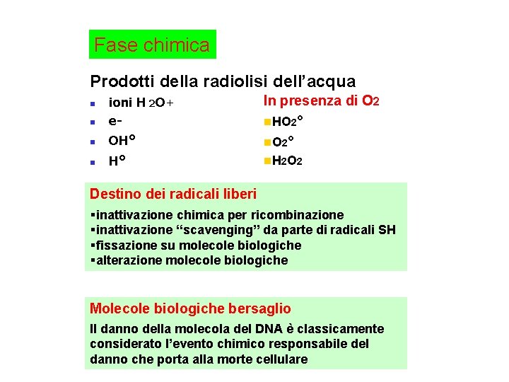 Fase chimica Prodotti della radiolisi dell’acqua n ioni H 2 O+ e- n OH°