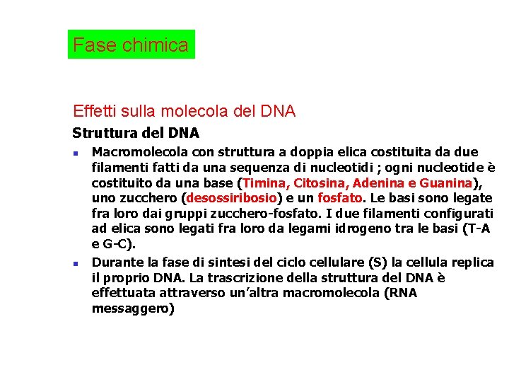 Fase chimica Effetti sulla molecola del DNA Struttura del DNA n n Macromolecola con