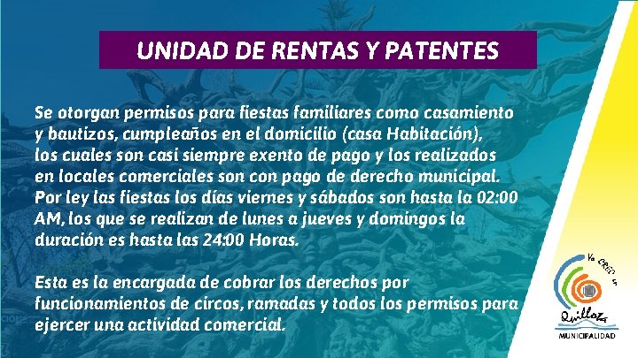 12 UNIDAD DE RENTAS Y PATENTES Se otorgan permisos para fiestas familiares como casamiento