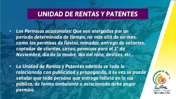 14 UNIDAD DE RENTAS Y PATENTES • Los Permisos ocasionales: Que son otorgados por