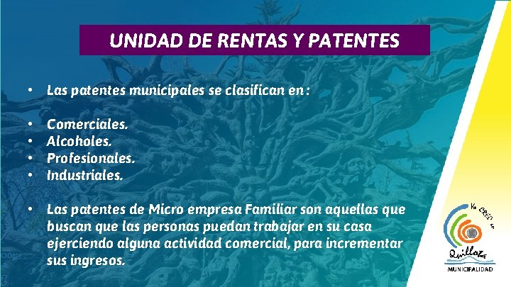 15 UNIDAD DE RENTAS Y PATENTES • Las patentes municipales se clasifican en :