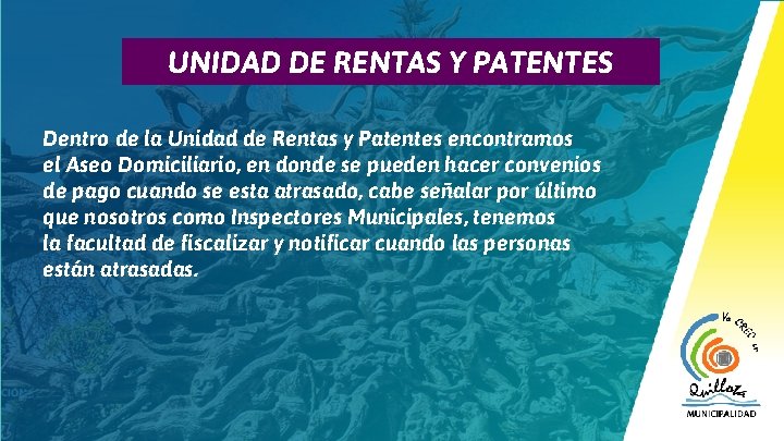 16 UNIDAD DE RENTAS Y PATENTES Dentro de la Unidad de Rentas y Patentes