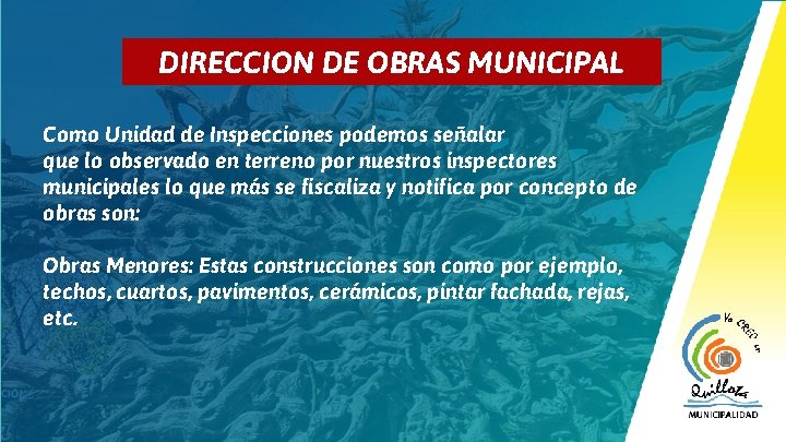 3 DIRECCION DE OBRAS MUNICIPAL Como Unidad de Inspecciones podemos señalar que lo observado