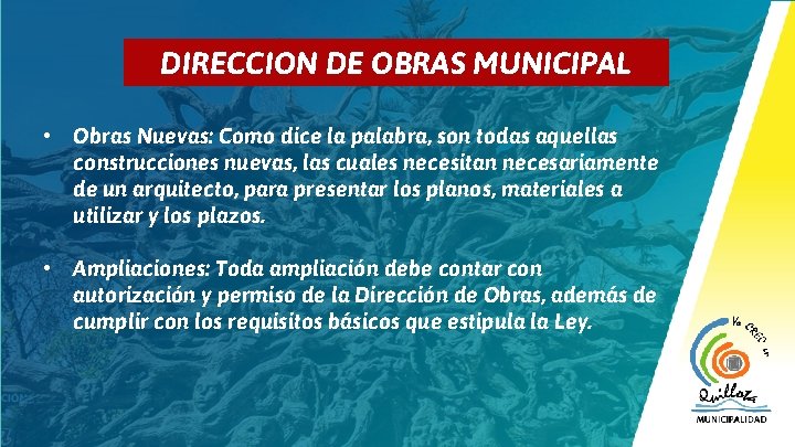 4 DIRECCION DE OBRAS MUNICIPAL • Obras Nuevas: Como dice la palabra, son todas