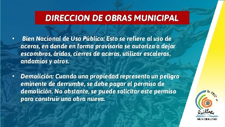 5 DIRECCION DE OBRAS MUNICIPAL • Bien Nacional de Uso Público: Esto se refiere