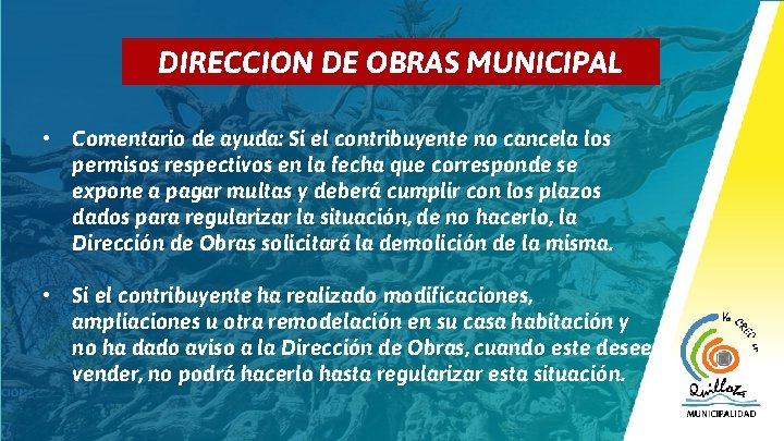 7 DIRECCION DE OBRAS MUNICIPAL • Comentario de ayuda: Si el contribuyente no cancela