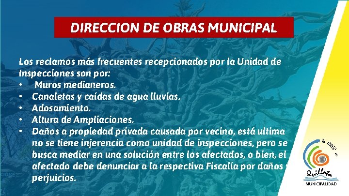 9 DIRECCION DE OBRAS MUNICIPAL Los reclamos más frecuentes recepcionados por la Unidad de