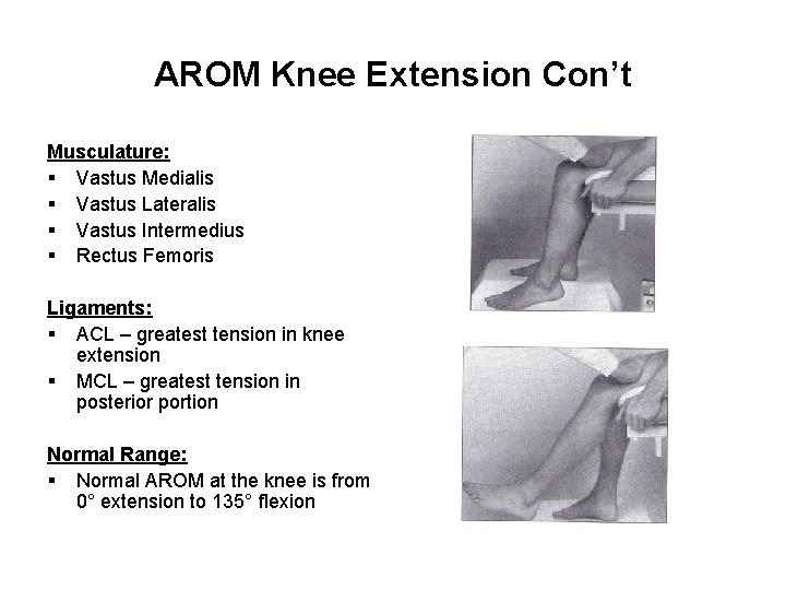 AROM Knee Extension Con’t Musculature: § Vastus Medialis § Vastus Lateralis § Vastus Intermedius
