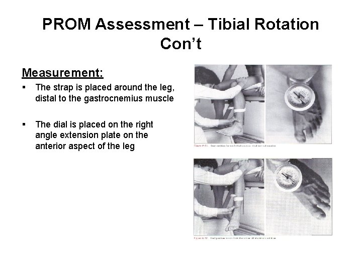 PROM Assessment – Tibial Rotation Con’t Measurement: § The strap is placed around the