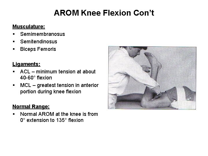 AROM Knee Flexion Con’t Musculature: § Semimembranosus § Semitendinosus § Biceps Femoris Ligaments: §