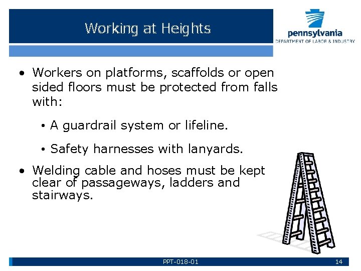 Working at Heights • Workers on platforms, scaffolds or open sided floors must be