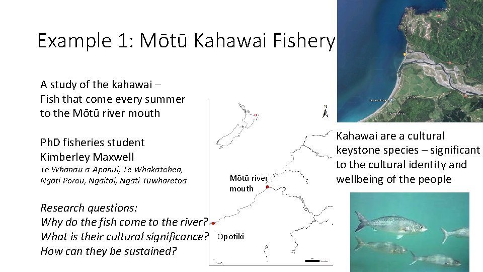 Example 1: Mōtū Kahawai Fishery A study of the kahawai – Fish that come