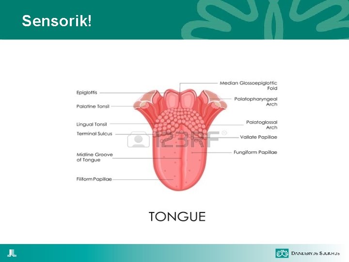Sensorik! 
