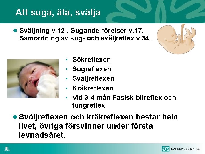 Att suga, äta, svälja Sväljning v. 12 , Sugande rörelser v. 17. Samordning av