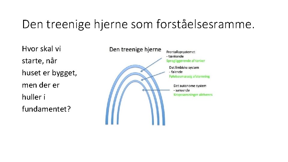 Den treenige hjerne som forståelsesramme. Hvor skal vi starte, når huset er bygget, men