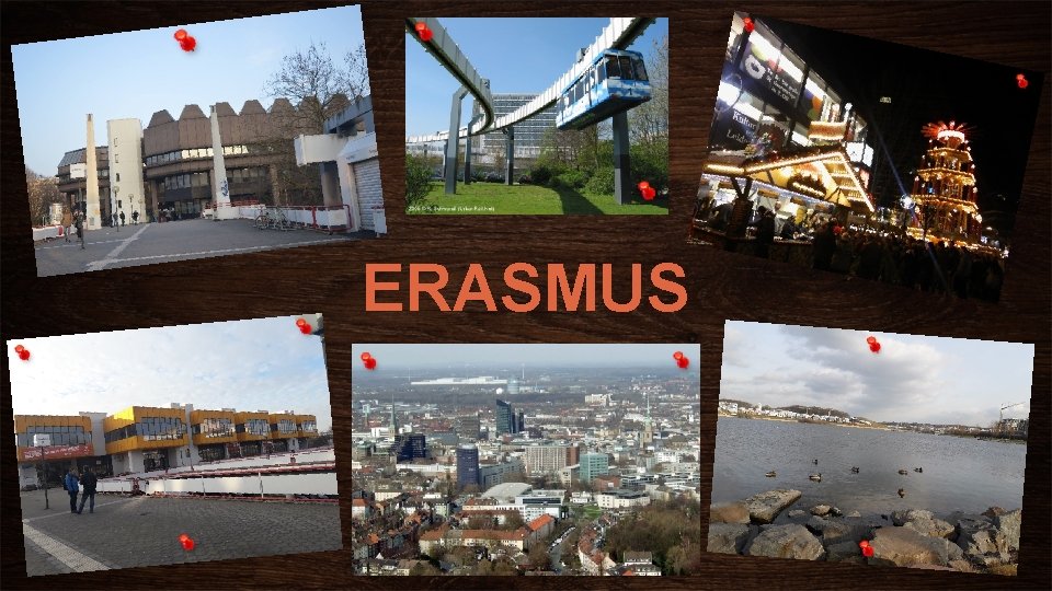 ERASMUS 