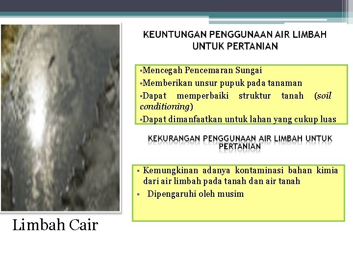 §Mencegah Pencemaran Sungai §Memberikan unsur pupuk pada tanaman §Dapat memperbaiki struktur tanah (soil conditioning)