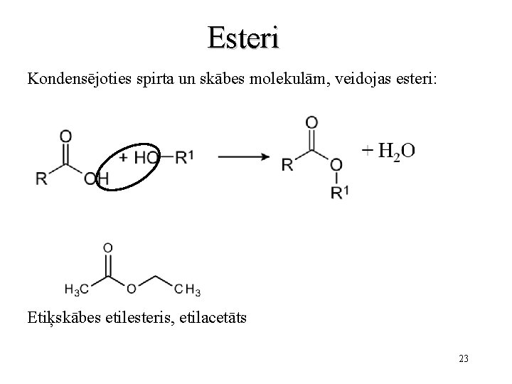 Esteri Kondensējoties spirta un skābes molekulām, veidojas esteri: Etiķskābes etilesteris, etilacetāts 23 