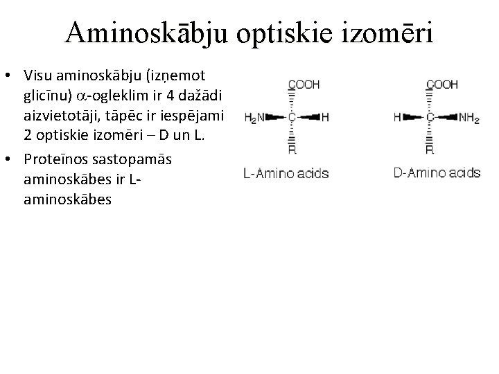Aminoskābju optiskie izomēri • Visu aminoskābju (izņemot glicīnu) a-ogleklim ir 4 dažādi aizvietotāji, tāpēc