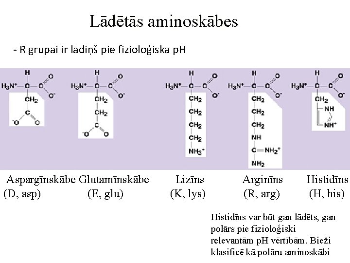 Lādētās aminoskābes - R grupai ir lādiņš pie fizioloģiska p. H Aspargīnskābe Glutamīnskābe (D,