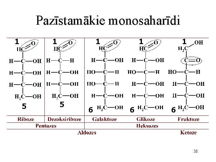 Pazīstamākie monosaharīdi 1 1 5 6 1 6 38 