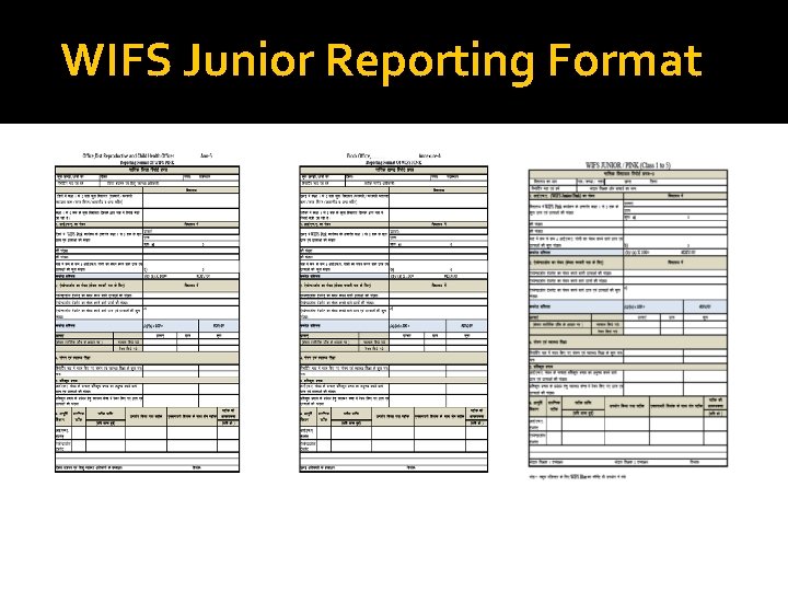 WIFS Junior Reporting Format 