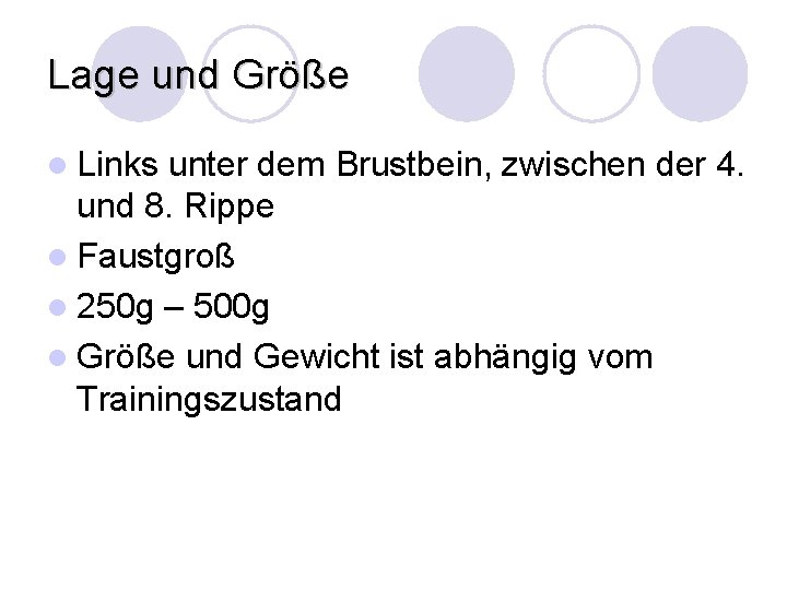 Lage und Größe l Links unter dem Brustbein, zwischen der 4. und 8. Rippe