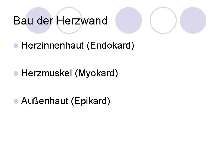 Bau der Herzwand l Herzinnenhaut l Herzmuskel l Außenhaut (Endokard) (Myokard) (Epikard) 