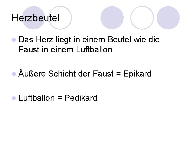 Herzbeutel l Das Herz liegt in einem Beutel wie die Faust in einem Luftballon