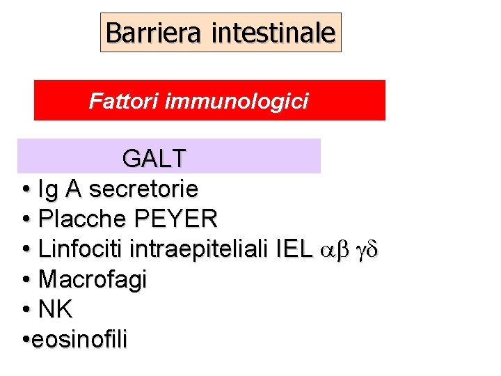 Barriera intestinale Fattori immunologici GALT • Ig A secretorie • Placche PEYER • Linfociti