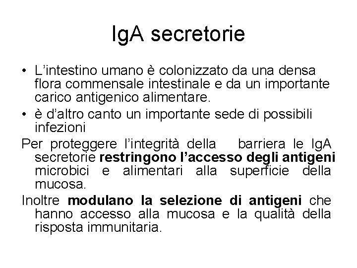 Ig. A secretorie • L’intestino umano è colonizzato da una densa flora commensale intestinale