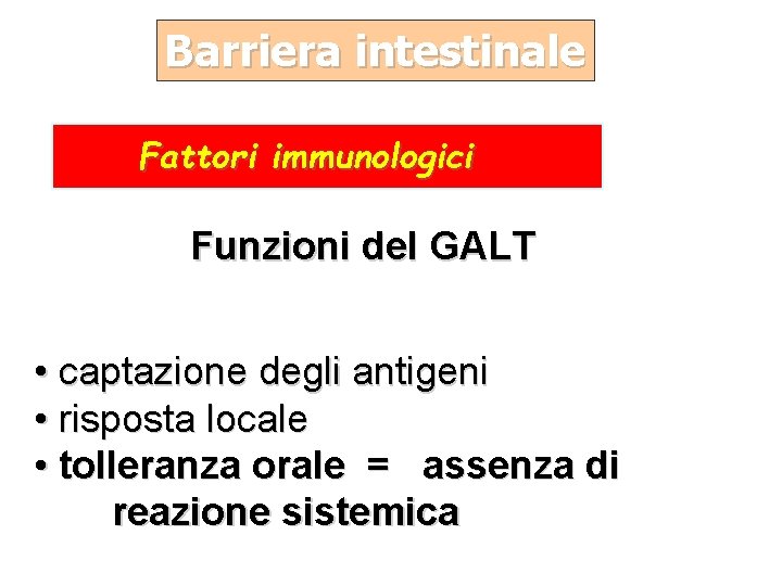 Barriera intestinale Fattori immunologici Funzioni del GALT • captazione degli antigeni • risposta locale