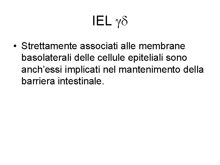 IEL gd • Strettamente associati alle membrane basolaterali delle cellule epiteliali sono anch’essi implicati